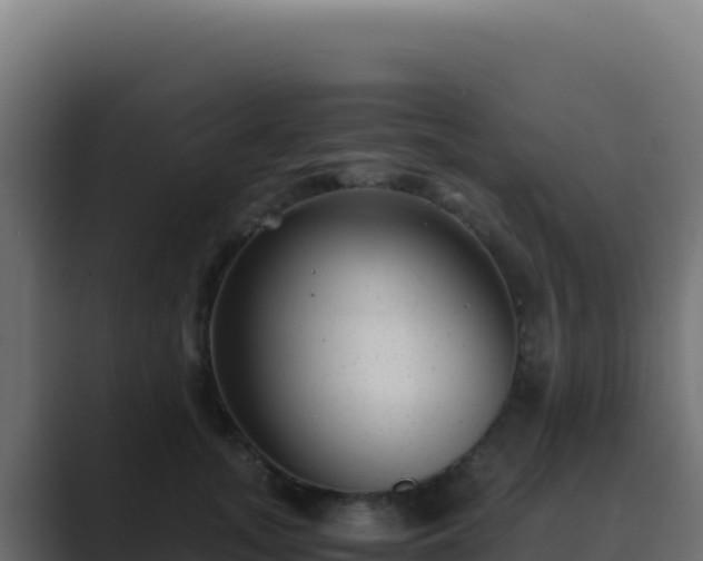 X0000089750755200706281625
