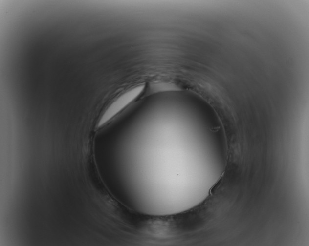 X0000089750756200706281625