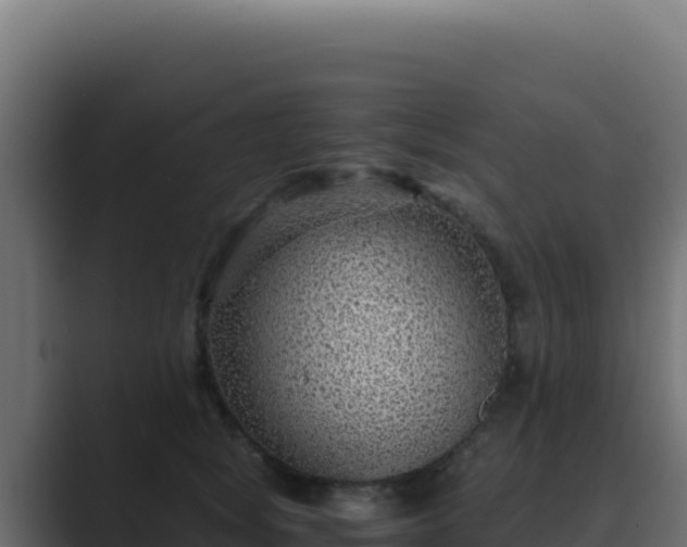 X0000089750757200706281625