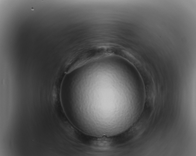 X0000089750758200706281625