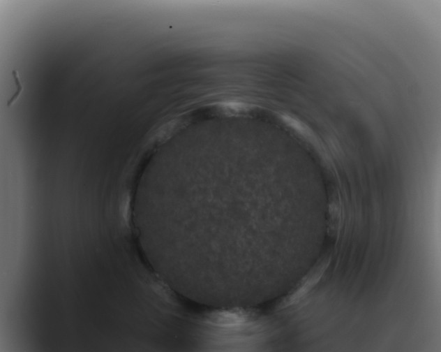 X0000089750765200706281625