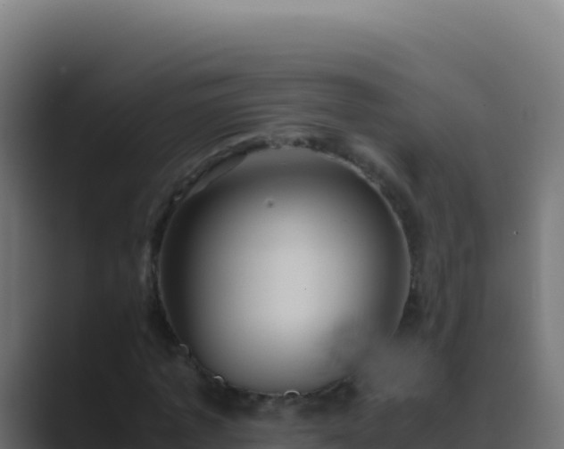 X0000089750773200706281625