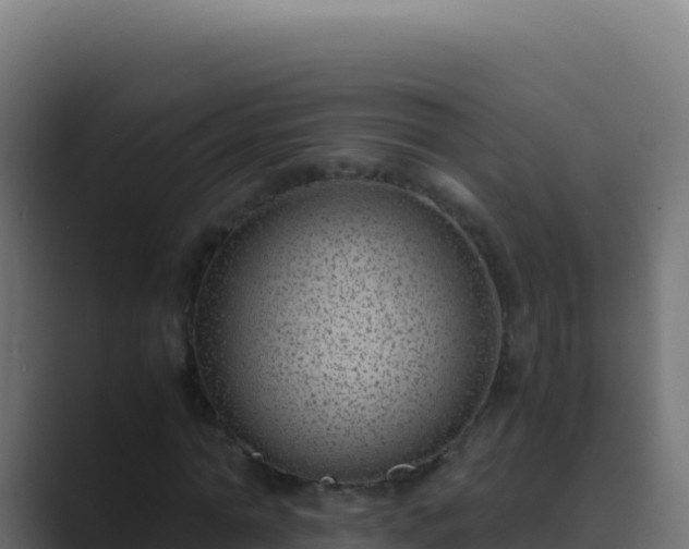 X0000089750774200706281625