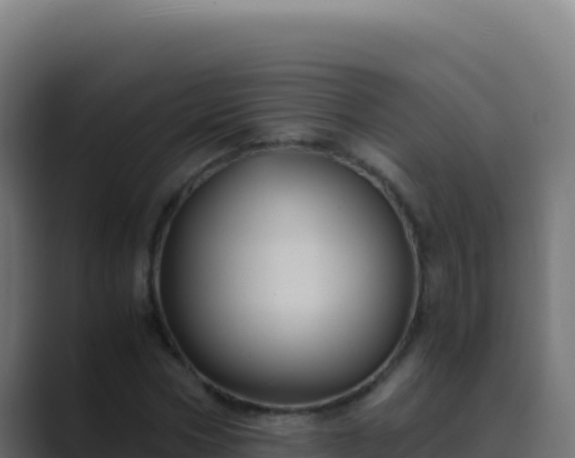 X0000089750778200706281625