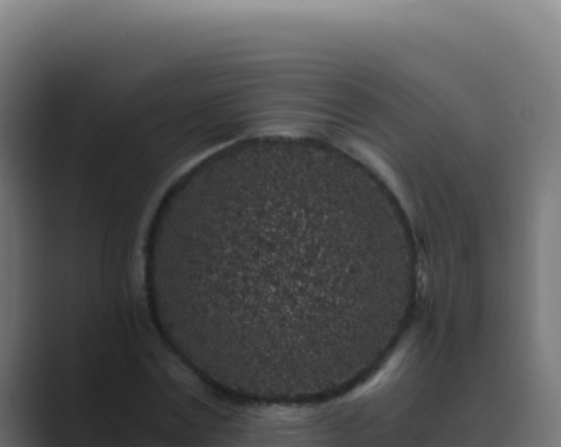 X0000089750779200706281625