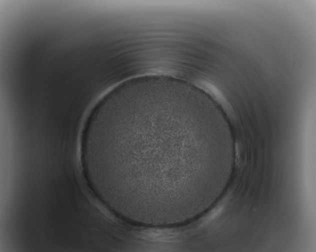 X0000089750780200706281625