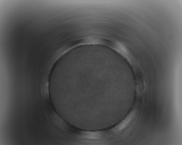 X0000089750781200706281625