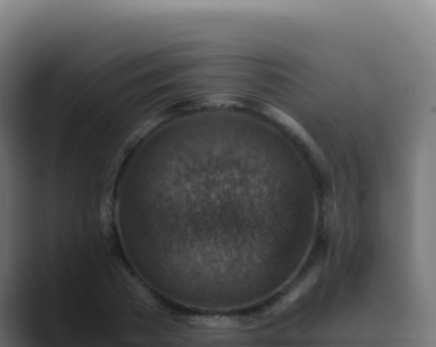 X0000089750785200706281625