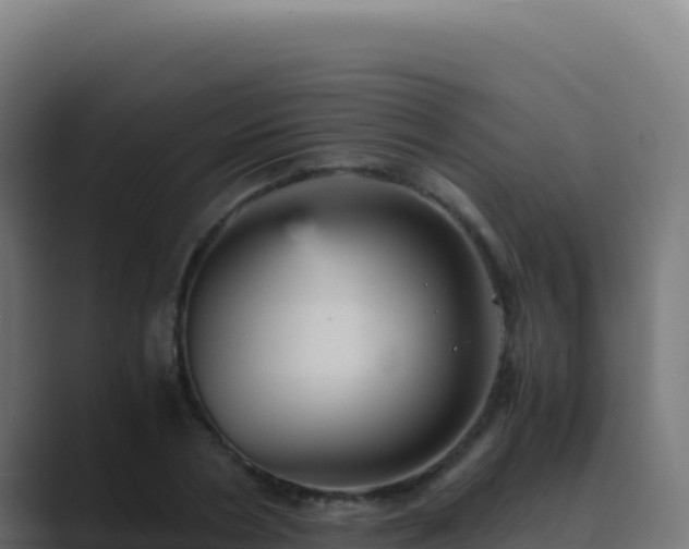 X0000089750786200706281625