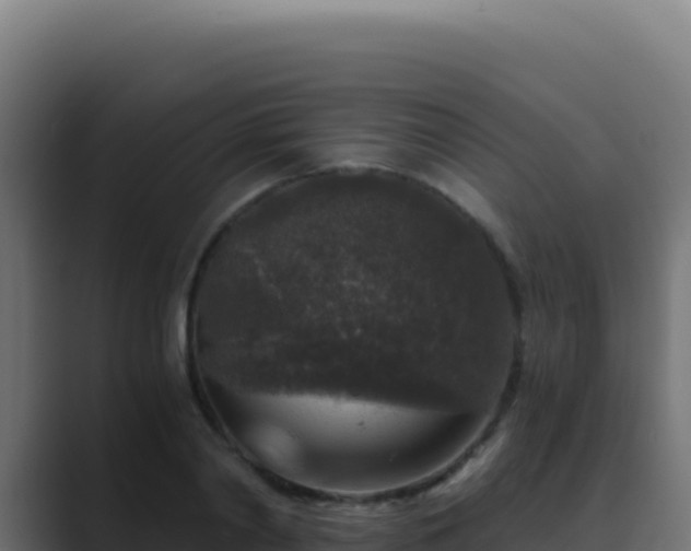 X0000089750790200706281625