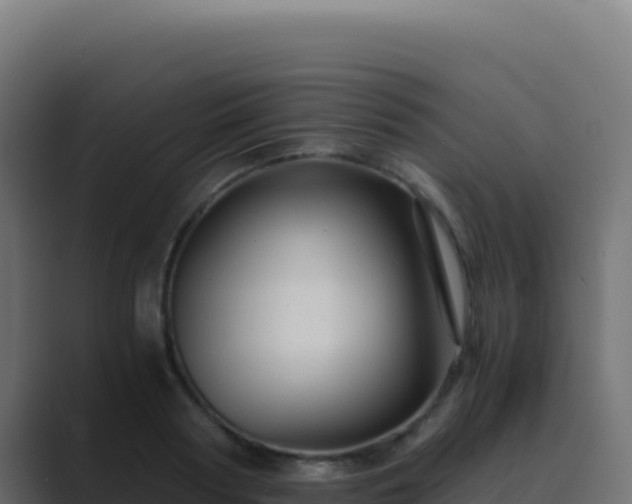 X0000089750794200706281624