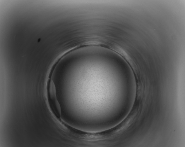 X0000089750795200706281624