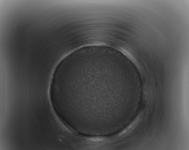 X0000089750797200706281624
