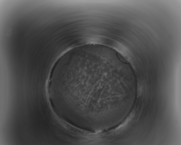 X0000089750798200706281624
