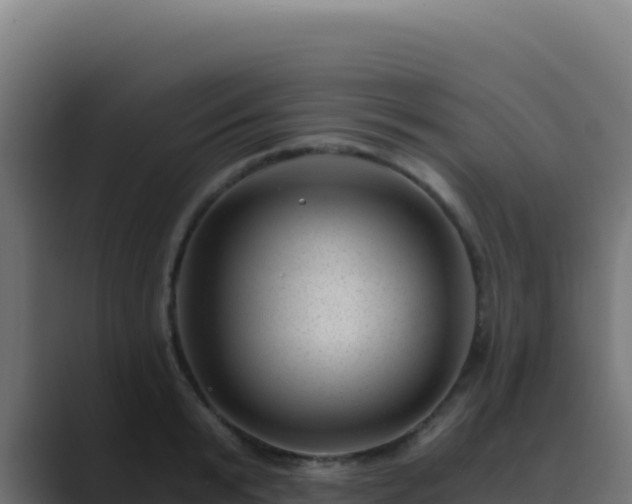 X0000089750799200706281624