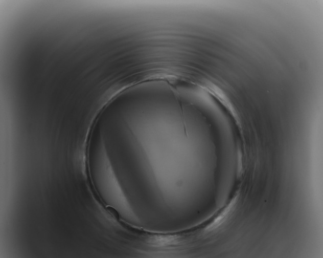 X0000089750802200706281624
