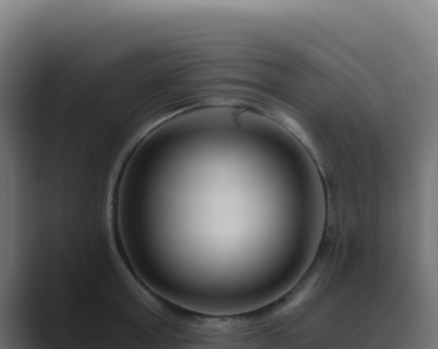 X0000089750803200706281624