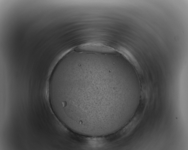 X0000089750804200706281624