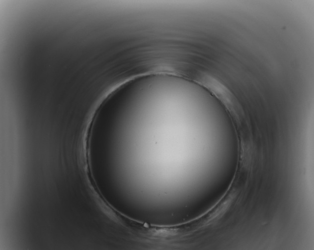 X0000089750808200706281624