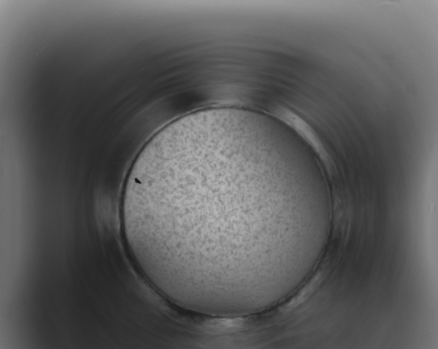 X0000089750810200706281624
