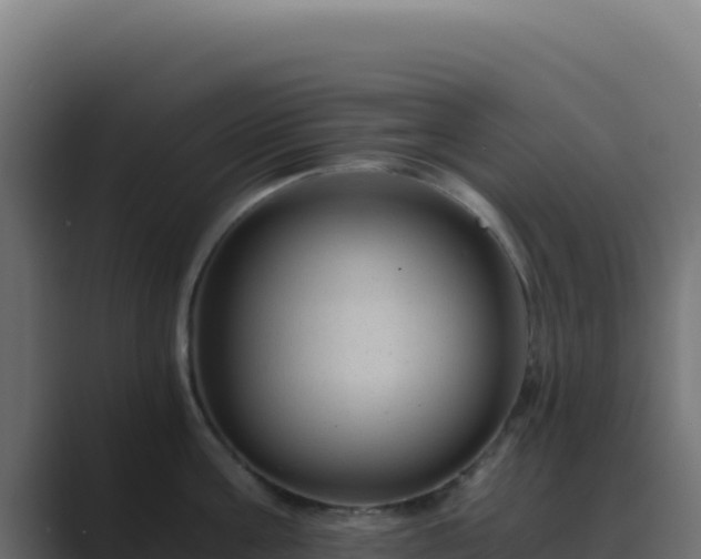 X0000089750811200706281624