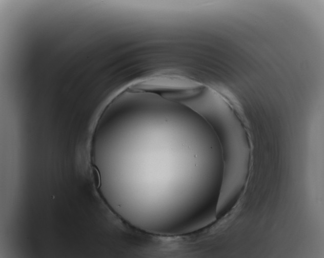X0000089750816200706281624