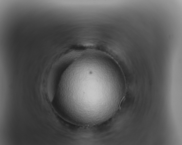 X0000089750817200706281624