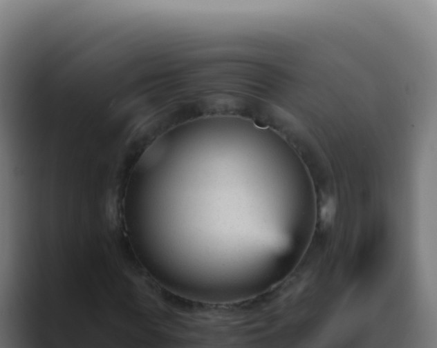 X0000089750819200706281624