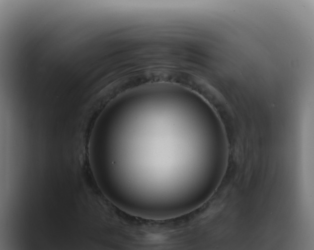 X0000089750821200706281624