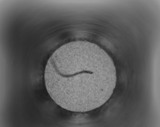 X0000089750824200706281624