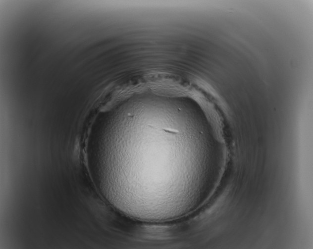 X0000089750825200706281624