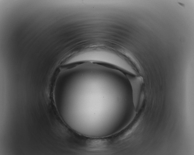 X0000089750826200706281624