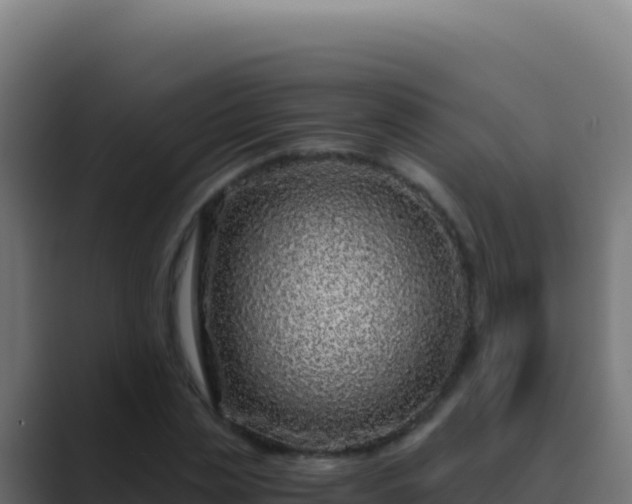 X0000089750829200706281624