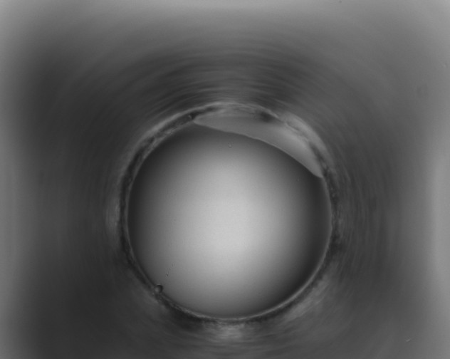 X0000089750831200706281624