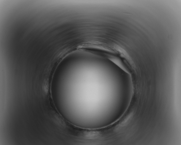 X0000089750833200706281624