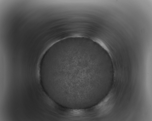 X0000089750835200706281624