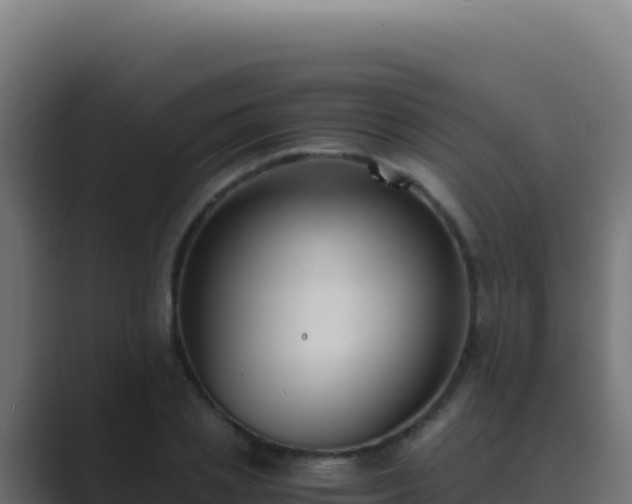 X0000089750837200706281624