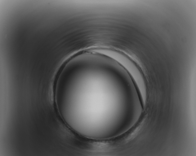 X0000089750838200706281624
