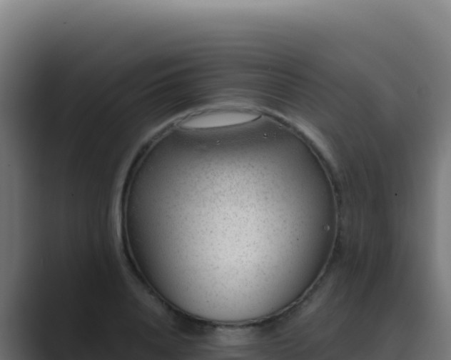 X0000089750840200706281624
