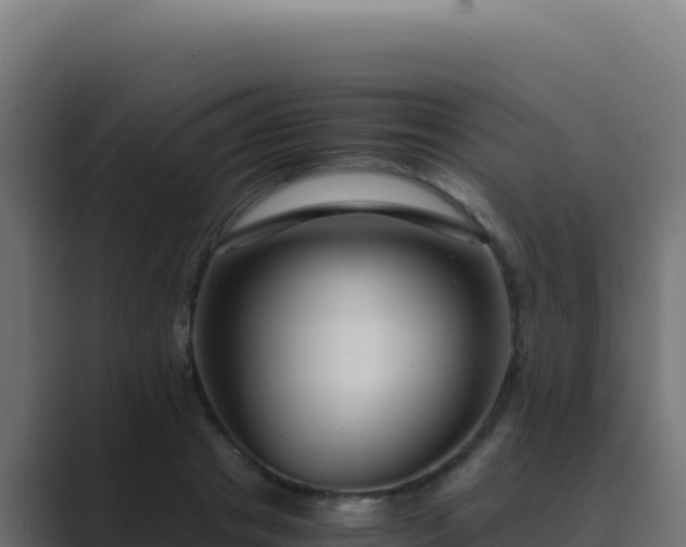 X0000089750841200706281624