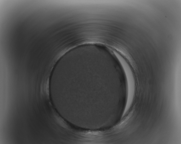 X0000089750842200706281624