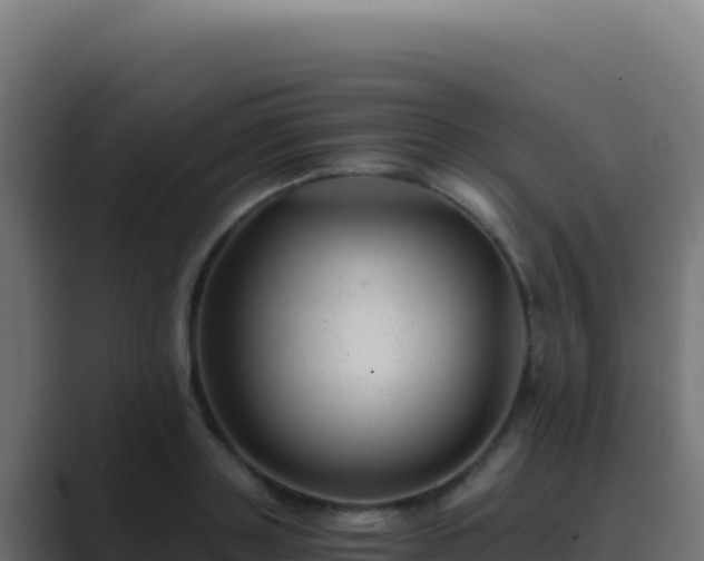 X0000089750843200706281624