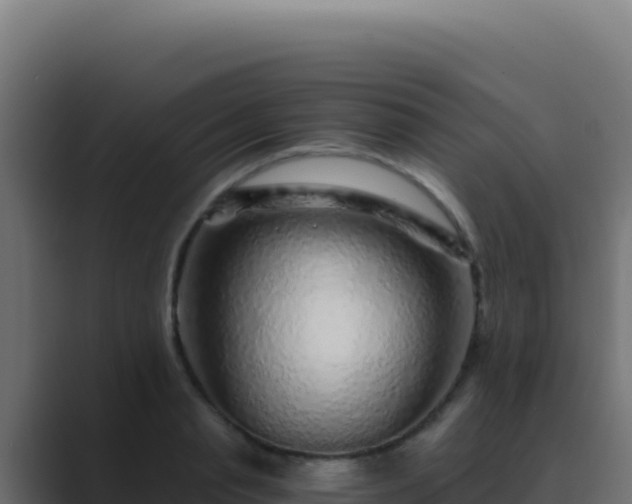X0000089750845200706281624