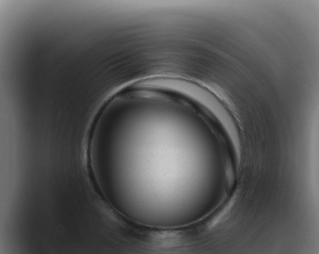 X0000089750846200706281624