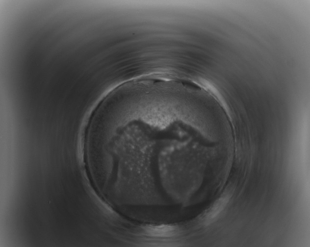X0000089750851200706281624