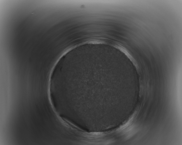 X0000089750853200706281624