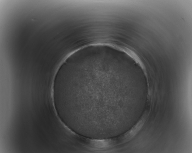 X0000089750855200706281624