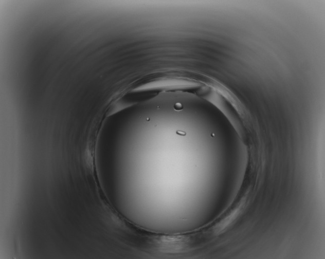 X0000089750857200706281624