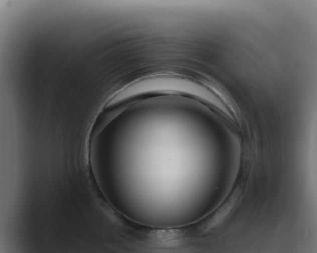 X0000089750858200706281624