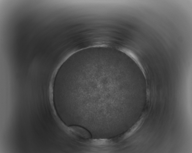 X0000089750859200706281624